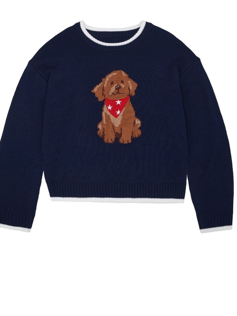 NWT Way To Celebrate Girls Puppy Americana Knit Sweater Blue Size S 6-7